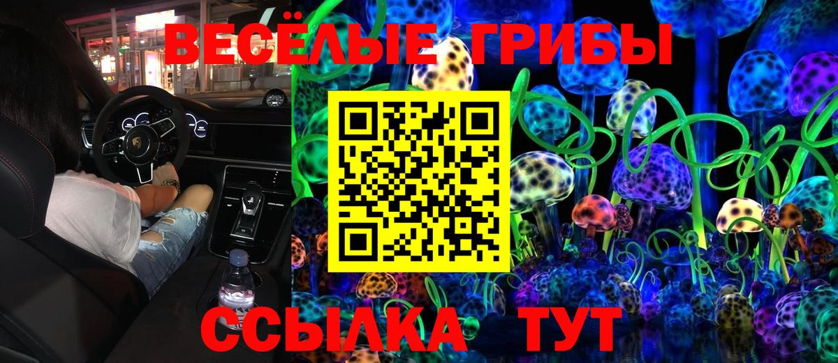 Псилоцибиновые грибы MAGIC MUSHROOMS  Вход с VPN  Жигулёвск 