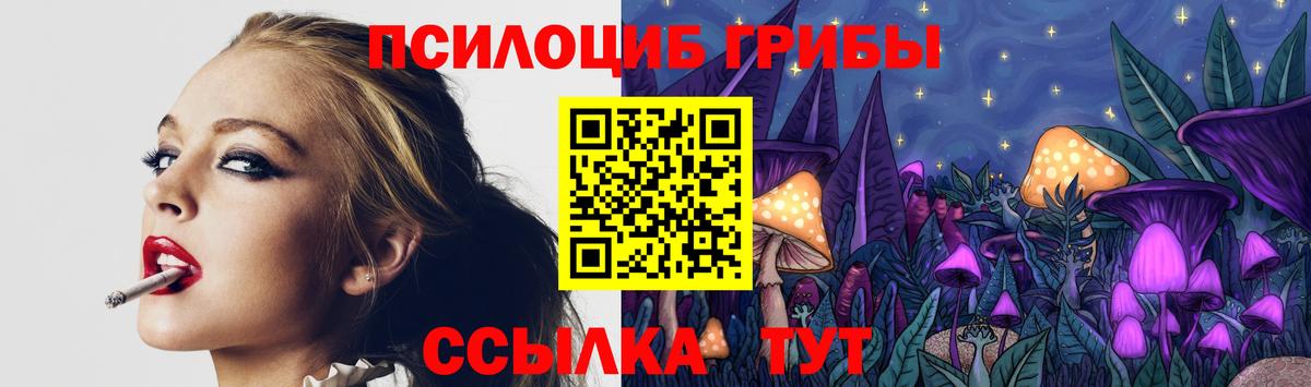 Псилоцибиновые грибы GOLDEN TEACHER Жигулёвск